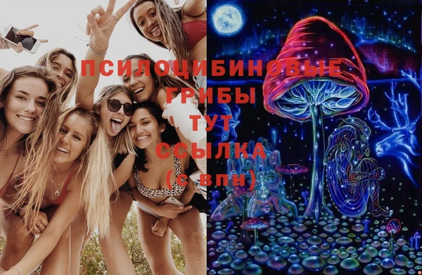 дживик Алексин