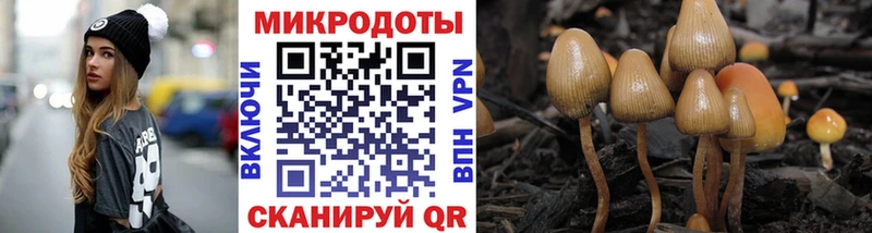 darknet формула  Нюрба  Псилоцибиновые грибы мицелий  купить наркотики сайты  kraken как зайти 